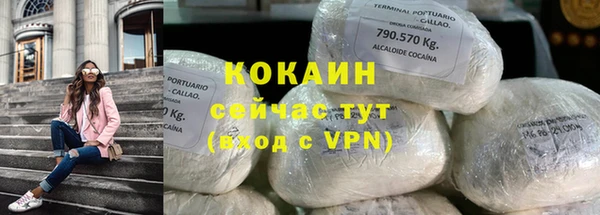 спиды Нея